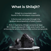 Pure Shilajit | 20 servings