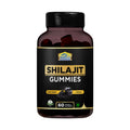 Shilajit Gummies - 60 Pack