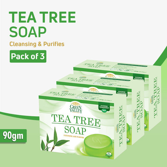 Tea Tree Soap (Anti Bacterial) - Pack of 3